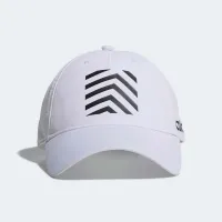 C40 GRAPHIC CAP