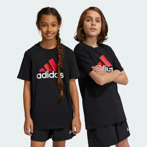 adidas Essentials Two-Color Big Logo Cotton T-Shirt Black (HR6369)